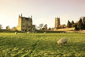 Sheep - grazing in field by the church and the