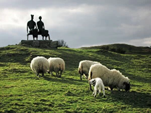 Mothers Collection: Sheep - grazing before the Henry Moore sculpture King & Queen Glenkiln Estate Sculpture Park