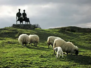 Scotland Prints: Sheep - grazing before the Henry Moore sculpture King & Queen Glenkiln Estate Sculpture Park