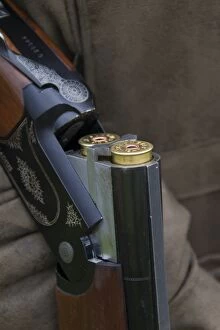 Shotgun with small-shot cartridge hunting Germany