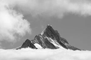 Bernese Gallery: Shreckhorn summit, 3741 m. from Faulhorn