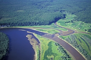 Images Dated 4th November 2008: Siberian Taiga - Ural Mountains - Siberia