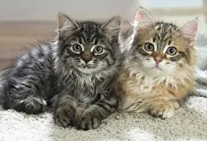 Siberien