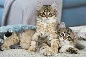 Siberien