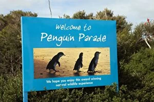 Sign advertising the world famous Penguin Parade - one of Vi