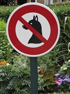 Sign - No dogs allowed by flowerbed
