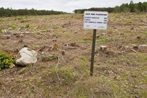 Images Dated 8th June 2010: Sign on Plum Creek property that was previously owned by Sappi