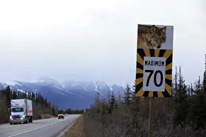 Trucks Prints: Sign - on road warning of Wolves crossing Rocky mountains - Jasper national park - Alberta - Canada