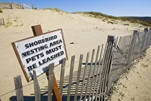 Signs for protecting nesting shorebirds on Cape Cod