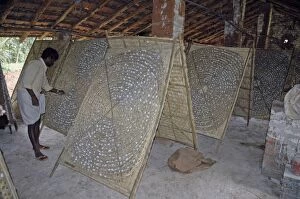 Silkworm coccoons at an Indian silk farm