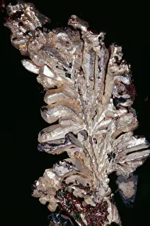 Metals Prints: Silver (Native Element) Ag Quincy Mine, Hancock, Michigan