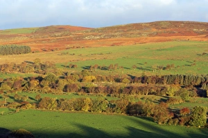 Images Dated 7th February 2007: Simonside - at sunrise in autumn colour. Northumberland National Park, UK