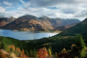 Images Dated 2012: November Collection