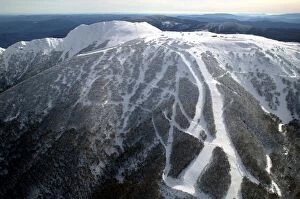 Images Dated 1st August 2003: Ski runs at Mount Buller Alpine Resort Mount Buller