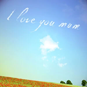 Mass Collection: Sky Writing - I love you mum Digital Manipulation: Poppies USH-5396 - clouds and sky all made