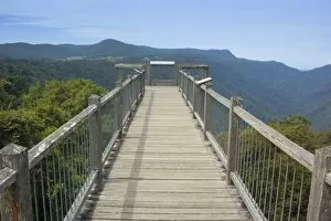 Images Dated 8th October 2008: Skywalk over rainforest - this boardwalk is built on top of the mountain range near the Dorrigo