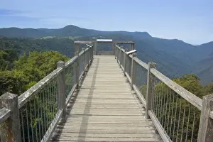 Footpaths Prints: Skywalk over rainforest - this boardwalk is built on top of the mountain range near the Dorrigo Rainforest Centre