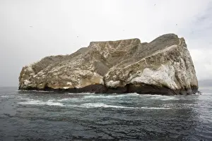Sleeping Lion near San Cristobal Island. Galapagos Islands