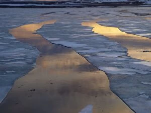 SM-2314 Drift ice in Lady Franklinsfjorden - Svalbard - Norway