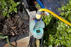 Images Dated 11th June 2009: Small electronic compterised water irrigation controller - for automatic watering greenhouse UK