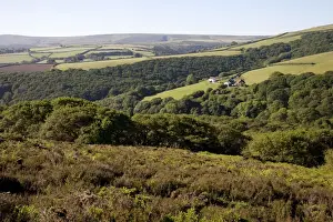 Somerset Prints: Small farmstead on Exmoor near Porlock Hill Exmoor Somerset UK