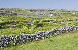 Images Dated 22nd May 2010: Small limestone-walled old fields on Inisheer the Burren, western Eire