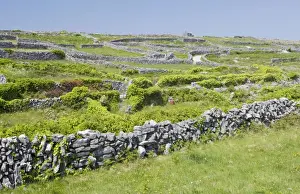 Eire Prints: Small limestone-walled old fields on Inisheer the Burren, western Eire