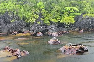 Images Dated 25th January 2008: Small river with heavy rainfall - Masoala National Park - Madagascar