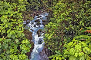 Images Dated 2nd January 2022: Small stream or creek, Costa Rica Date: 19-03-2011