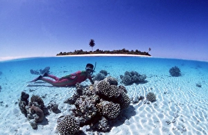 Seascape Collection: Snorkeller and tropical island - Split level shot