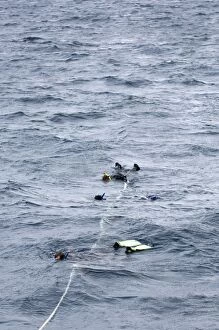 Images Dated 17th June 2008: Snorkellers tied to rope (attached to boat) in