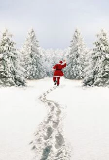 Images Dated 13th January 2010: Snow - Father Christmas making footprints in winter landscape with conifers