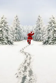 Snow - Father Christmas making footprints in winter landscape with conifers
