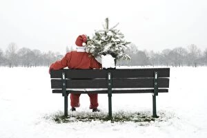 Images Dated 13th January 2010: Snow - Father Christmas sitting on park bench with a Christmas tree