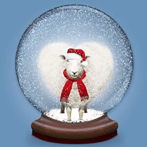Snow globe containing heart shaped Sheep / Ewe