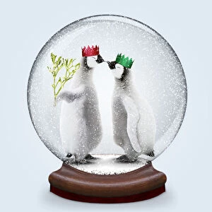 Snow globe of Penguins kissing under mistletoe