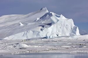 Images Dated 27th October 2006: snow hill island. Peninsule Antarctique