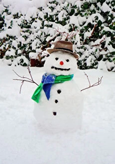 Images Dated 2nd February 2009: Snowman - with scarf & hat in winter scene Digital Manipulation: removed flower pots