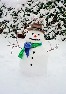 Scarf Prints: Snowman - with scarf & hat in winter scene Digital Manipulation: removed flower pots