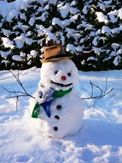 Scarf Prints: Snowman - with scarf & hat in winter scene Digital Manipulation: removed pots in background & added snow