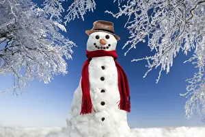 Christmas Prints: Snowman - in winter snow Digital Manipulation: Background USH - Snowman Sarah - Hat Su