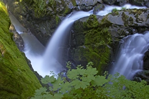 Sol Duc Falls -Olympic National Park, Washington State, USA