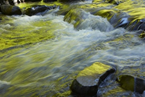 Sol Duc Falls -Olympic National Park, Washington State, USA
