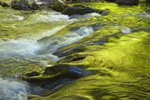 Sol Duc Falls -Olympic National Park, Washington State, USA