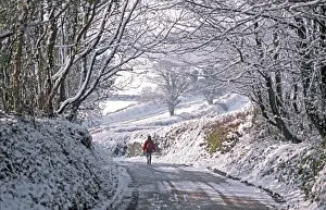Solitary female pedestrian walks through snow covered English winter landscape along country lane bordered by tall hedges and overhanging trees toward more open sunlit countryside. Devon, UK