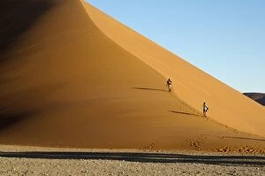 Sossusvlei Gallery: Sossusvlei Dune 45 - Tourists climbing the dune