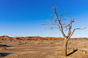 Sossusvlei, Namib Desert, Namib-Naukluft