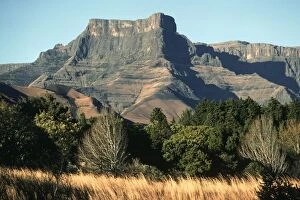 Images Dated 1st February 2008: South Africa - Drakensburg mountains uKhahlamba now a World Heritage Site