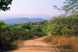 South Africa Collection: South Africa - game viewing road through Sourveld near Pretoriuskop rest camp