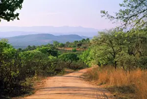 Road Prints: South Africa - game viewing road through Sourveld near Pretoriuskop rest camp